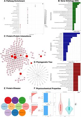 GeneCloudOmics: A Data Analytic Cloud Platform for High-Throughput Gene Expression Analysis